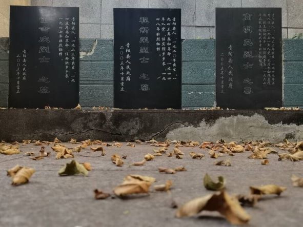 跨越100年,會師新時代,探訪烈士陵園,學習延安精神,