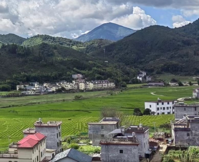 P悾GɫDͼoĵVɽ@ľGɫ͑׃