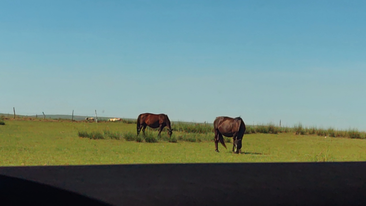 ɽ|Woc͌WԺ޻𡤰o҇`{кBȫ