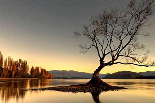 小學教導主任述職報告參考