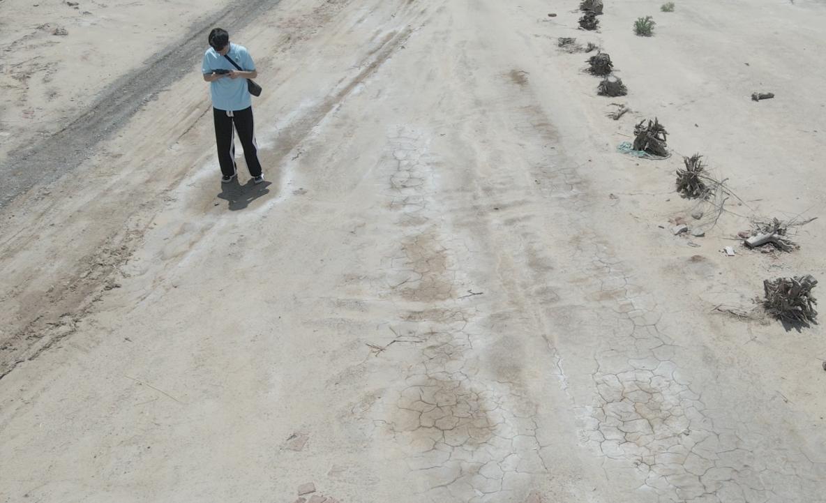 urޣƼСԺoSӣ}AϵľGɫ̽