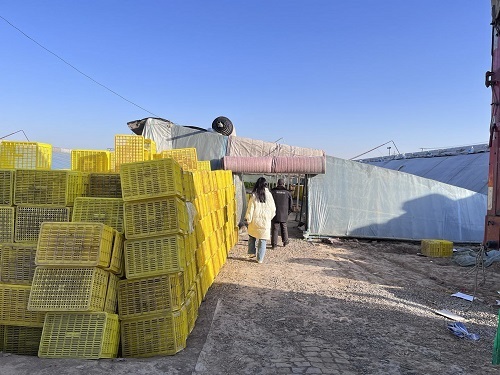 oץc(din)(chung)NۣGɫr(nng)I(y)ጷżt