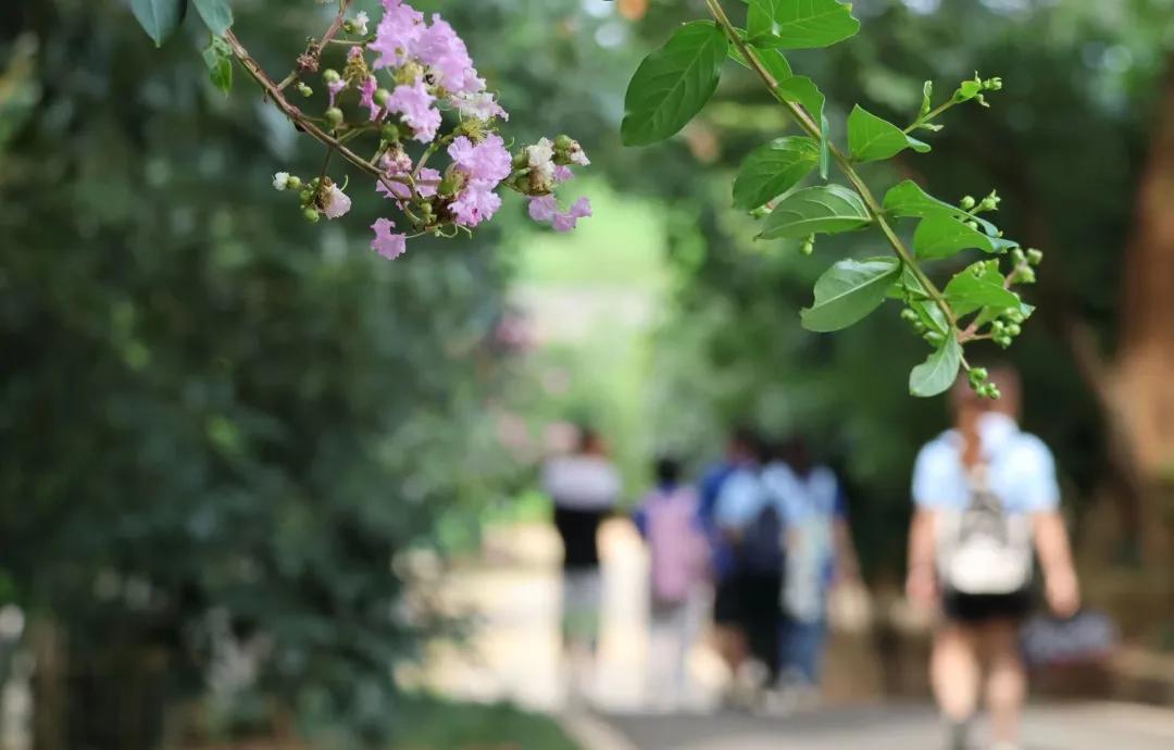 GɫDͣrýY WӸӺ^_չȫ{