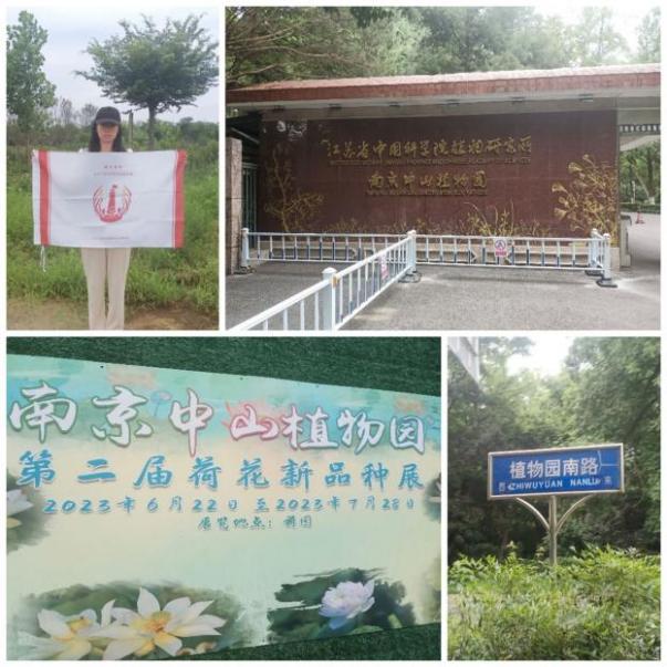 нС̽tˎlչcĻtˎ̽匚Ⱥ\н`FپнС̽KʡЇƌWԺֲоϾɽֲ@@̩Їtˎвˎֲ@