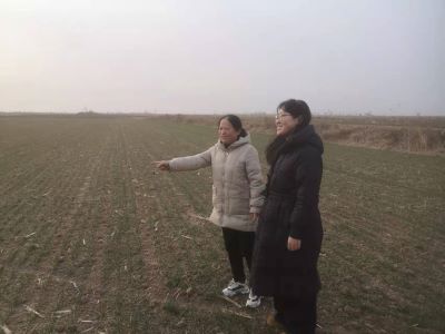 ɽ|WGdr̼·h{ЈFw_չ{