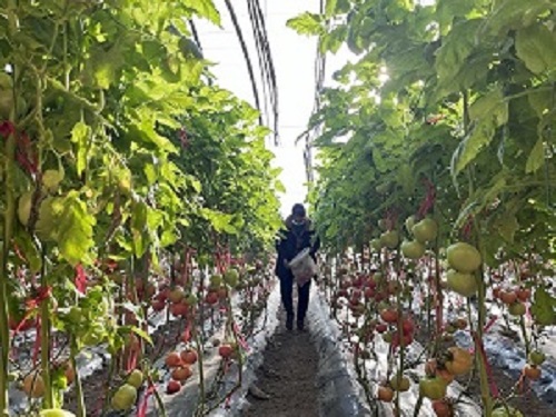 ۽(sh)ظĸl(f)չM(jn)r(nng)I(y)D(zhun)