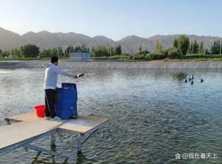 ½a(chn)S:(ni)ꑺrL(fng)