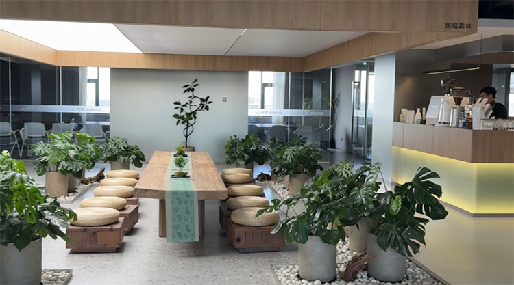 㽭̴WW̽L΢朣aIյĄ