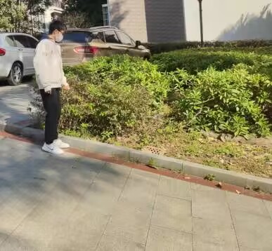 香甜百坭砂糖橘,鋪就致富振興路