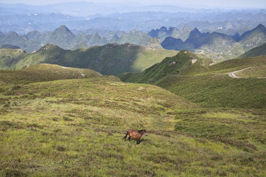 ɽ|WƌWԺǭ־Ը꠸Fʡ¿h_չø|lչ{