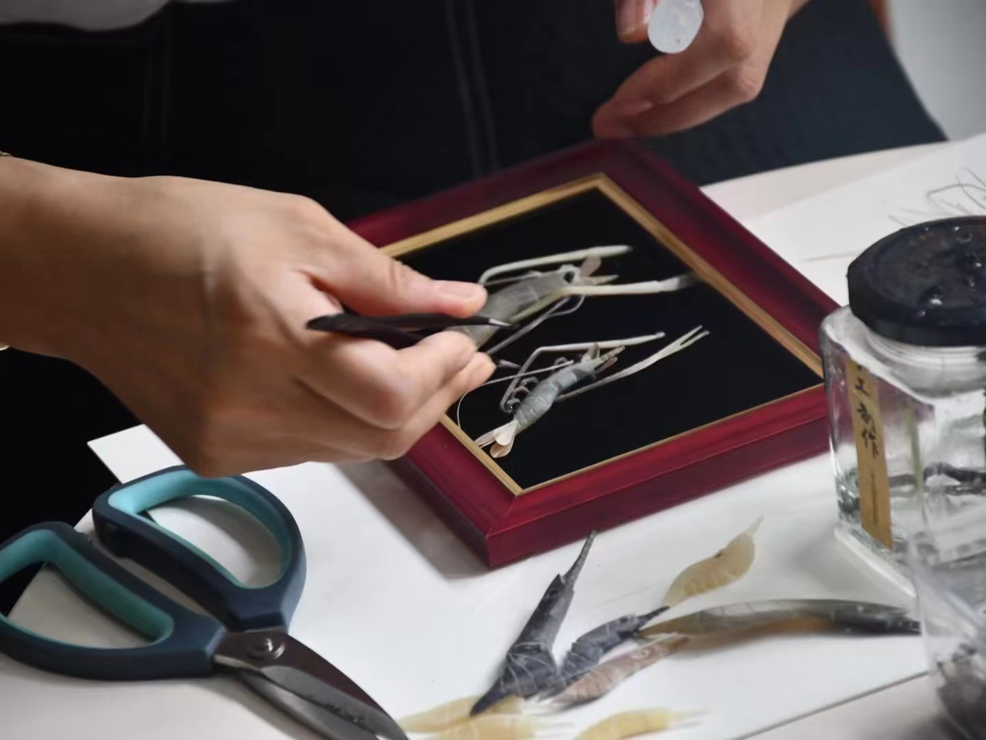 WԺ̹WԺܲDzĻЌ`F̽LzԪt