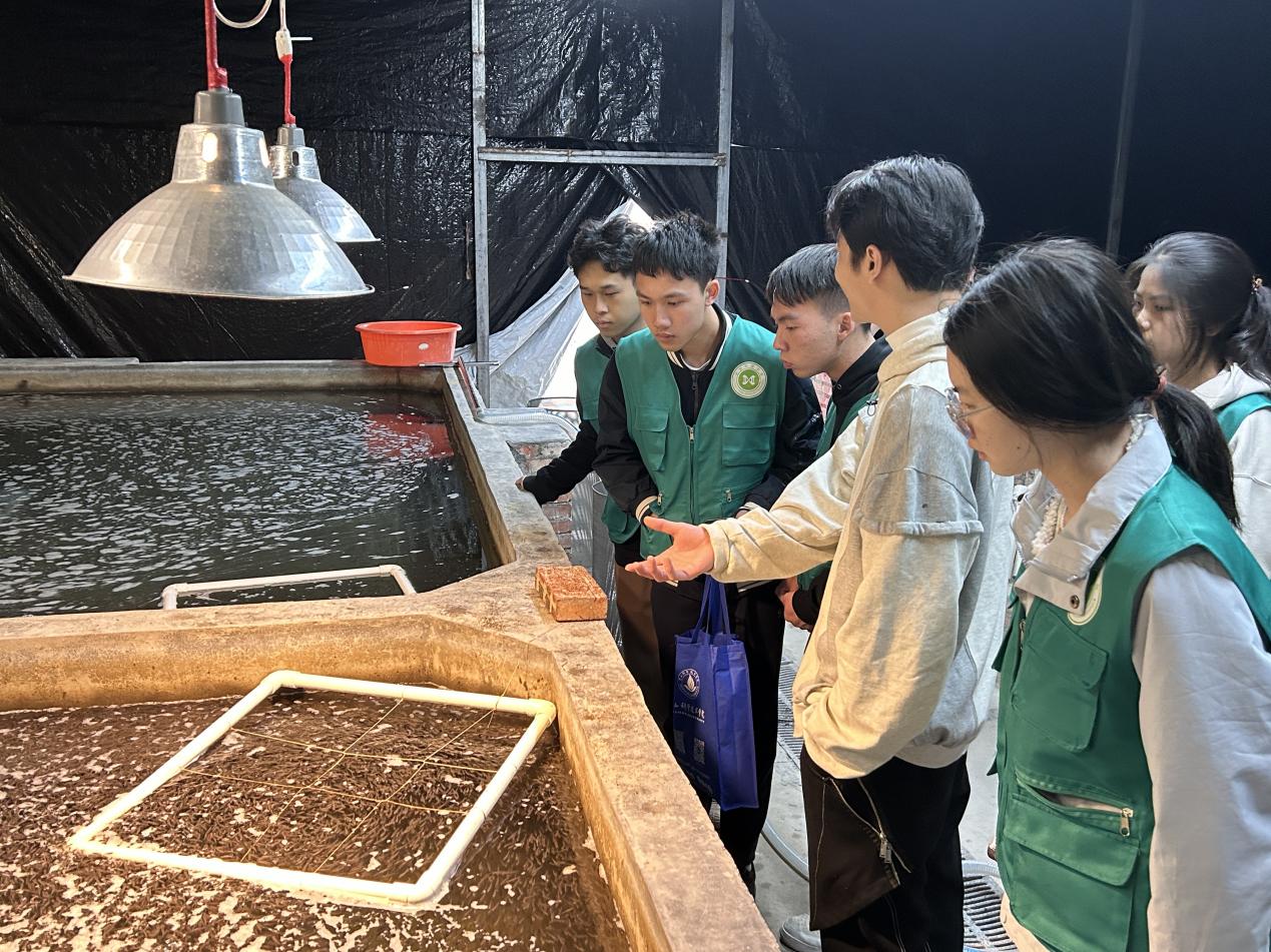 ഺxl(xing)a(chn)I(y)ɽWW{(dio)к㏊ˮa(chn)̽OI(y)F(xin)·