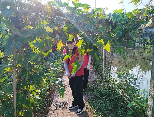 ־Ը(w)֡ҊͬС㟒ȞW(xu)ԺSl(xing)dMF