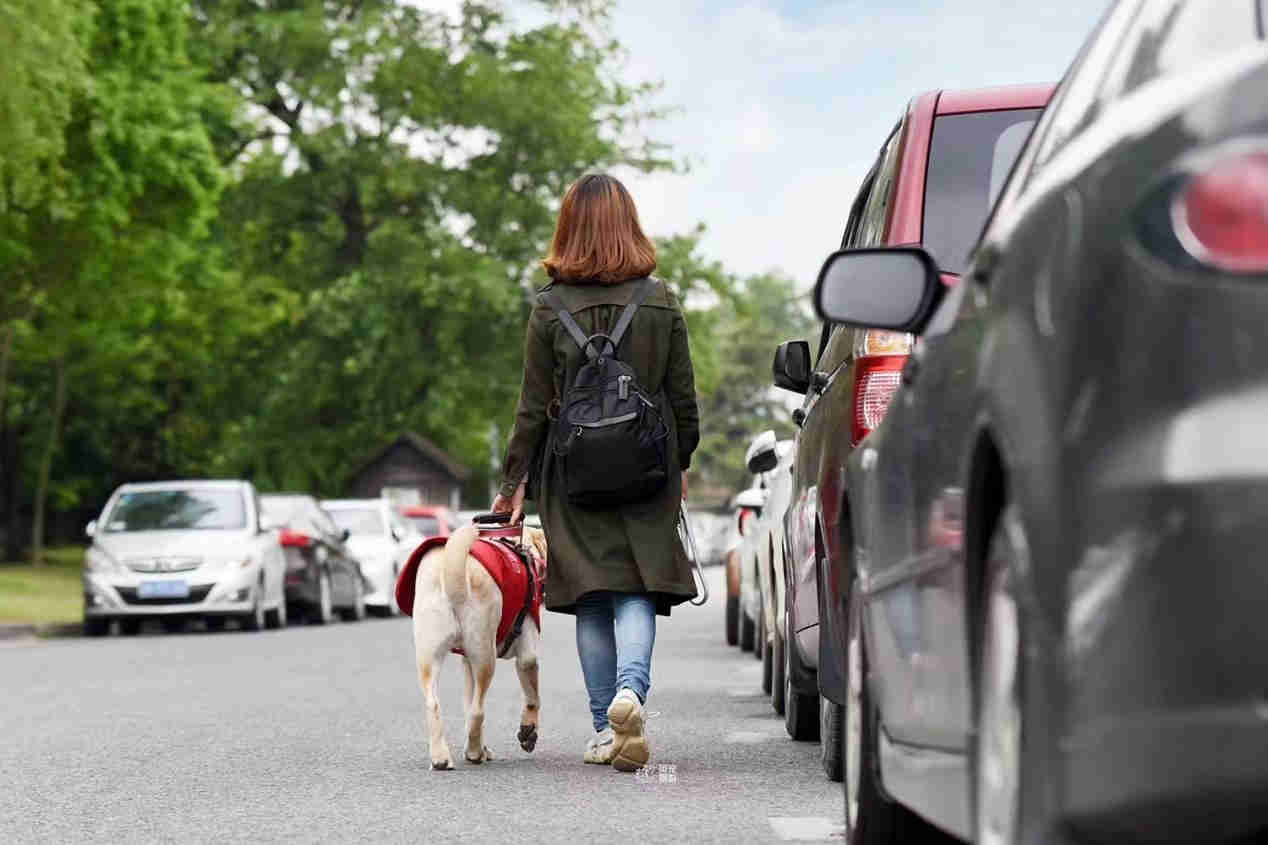 gڣʹꖹ͸̓oϾպWҵۡ`FPä˻