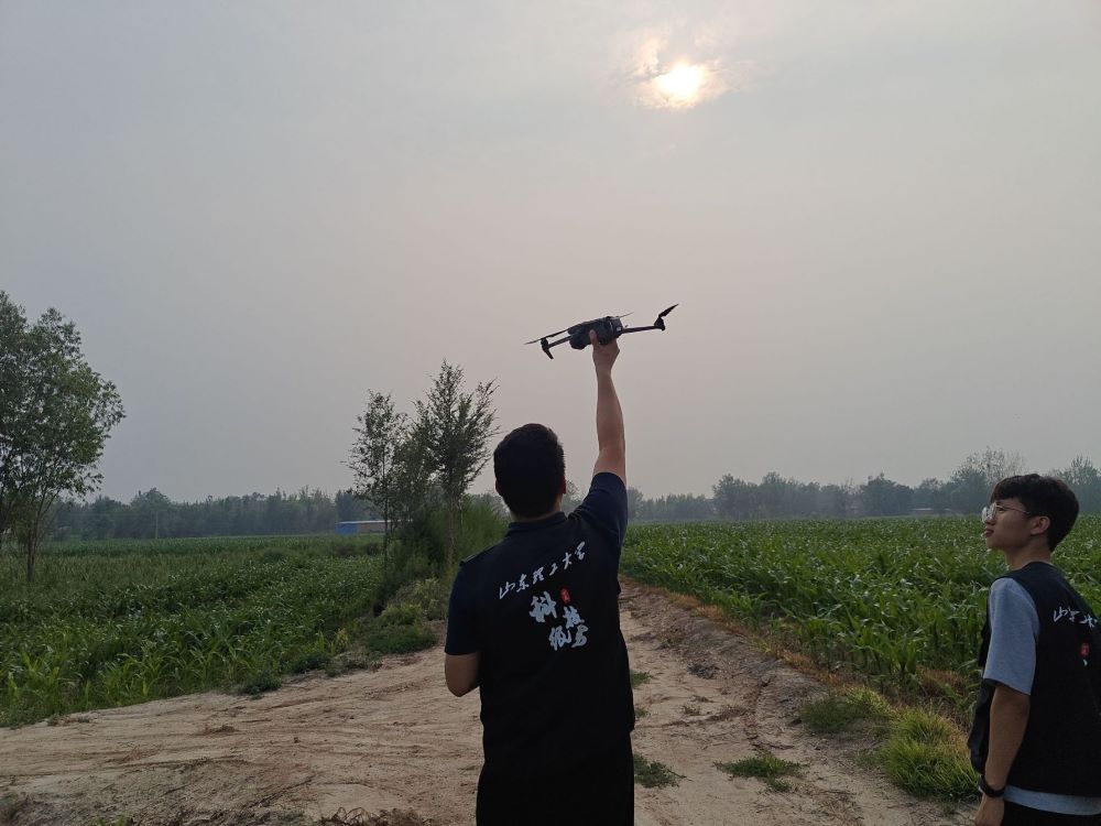 ƼS`Fԟo˙CgLһ´S{D