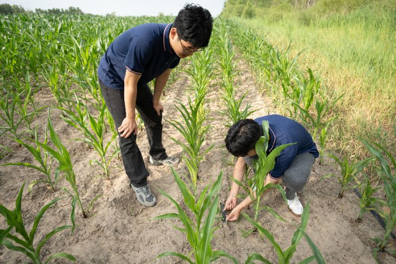 ЇʯʹWA|ʯ͹̌WԺҰdl`ꠣBd oGɫ҈@