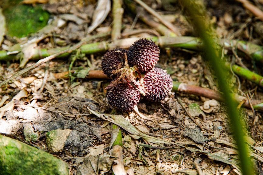 ɰʮaI|cµں֮Ʒƻδ