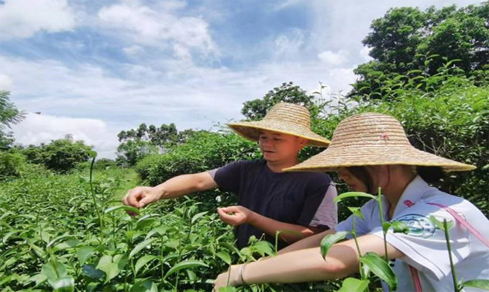 Ȫ^h{顪oaԺӋڌWԺ