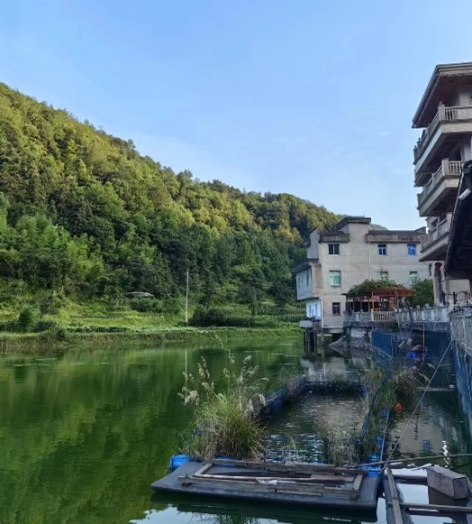 ̽Ll(xing) ۽˰ˑ(zhn)ԡ 㽭̴Wh(hun)WԺɴ塰Ll(xing)(zhn)残d{D`F