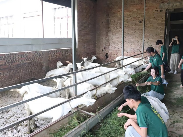 l(xing)l(xing)sʢ^F(tun)ǰμߞ(zhn)ţB(yng)ֳM(jn){(dio)Ќ(sh)`