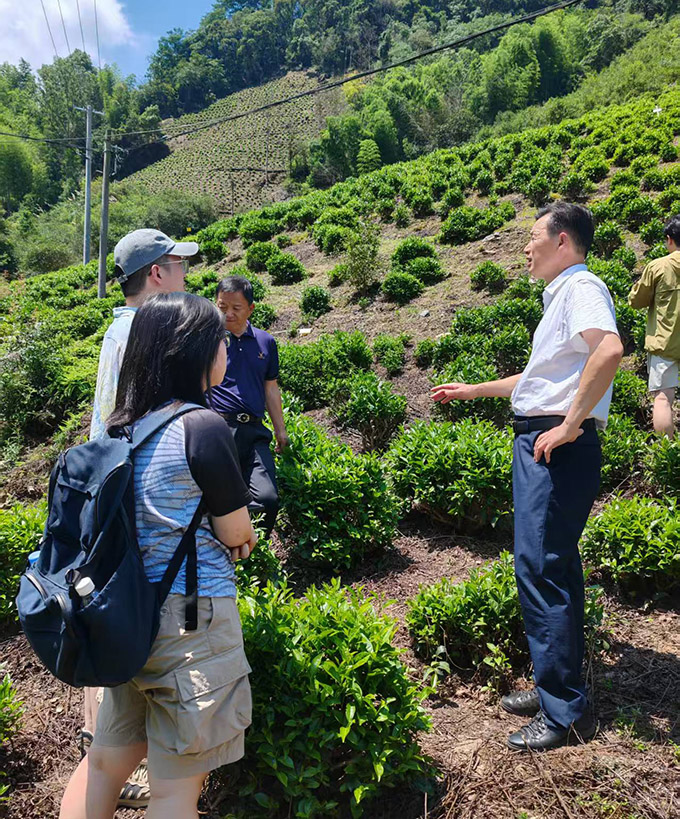 ՌW(xu)˼l(xing)t̽t