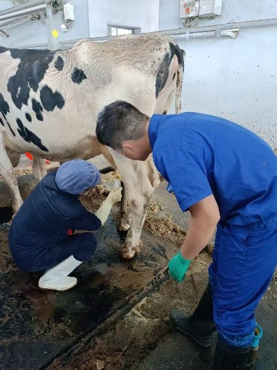 ʿţtvӛƼx׌ÿһţ̸ȫ PݴWţˡFǰؼgoţ