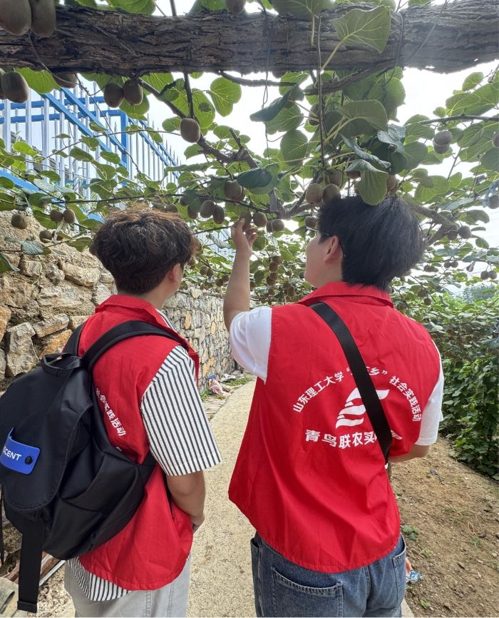 B(lin)r(nng)(sh)`F(tun)ԴȪ(zhn)aߘ(bio)(zhn)J̮a(chn)I(y)l(f)չ֮·