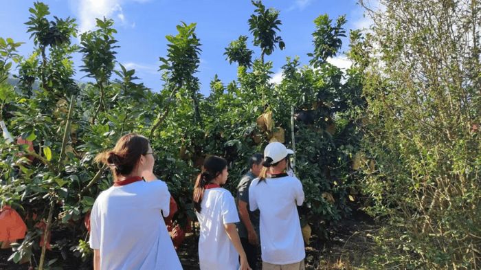  ഺǻƽl(xing)dܴa VW(xu)I(lng)ݿha(chn)I(y)d`o(j)