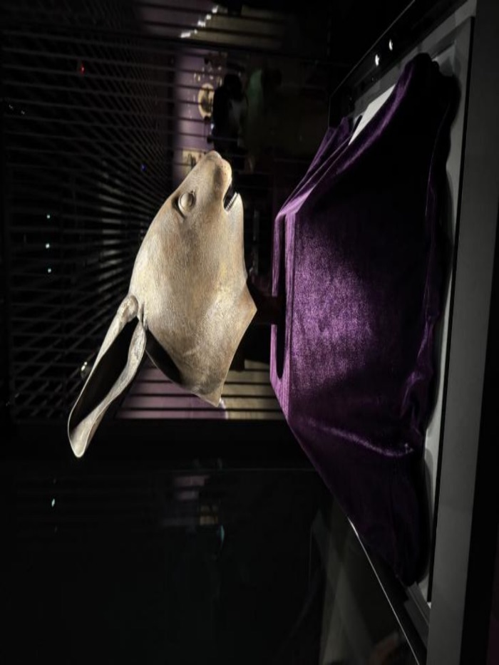 ϷСۇ飺݌WԺWl ӕഺ