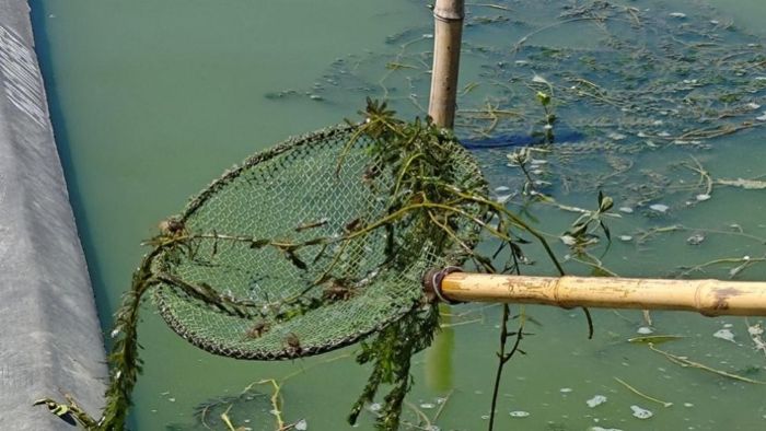 зˮF꠸̩̽Lзl(xing)a(chn)I(y)ǻB(yng)ֳ