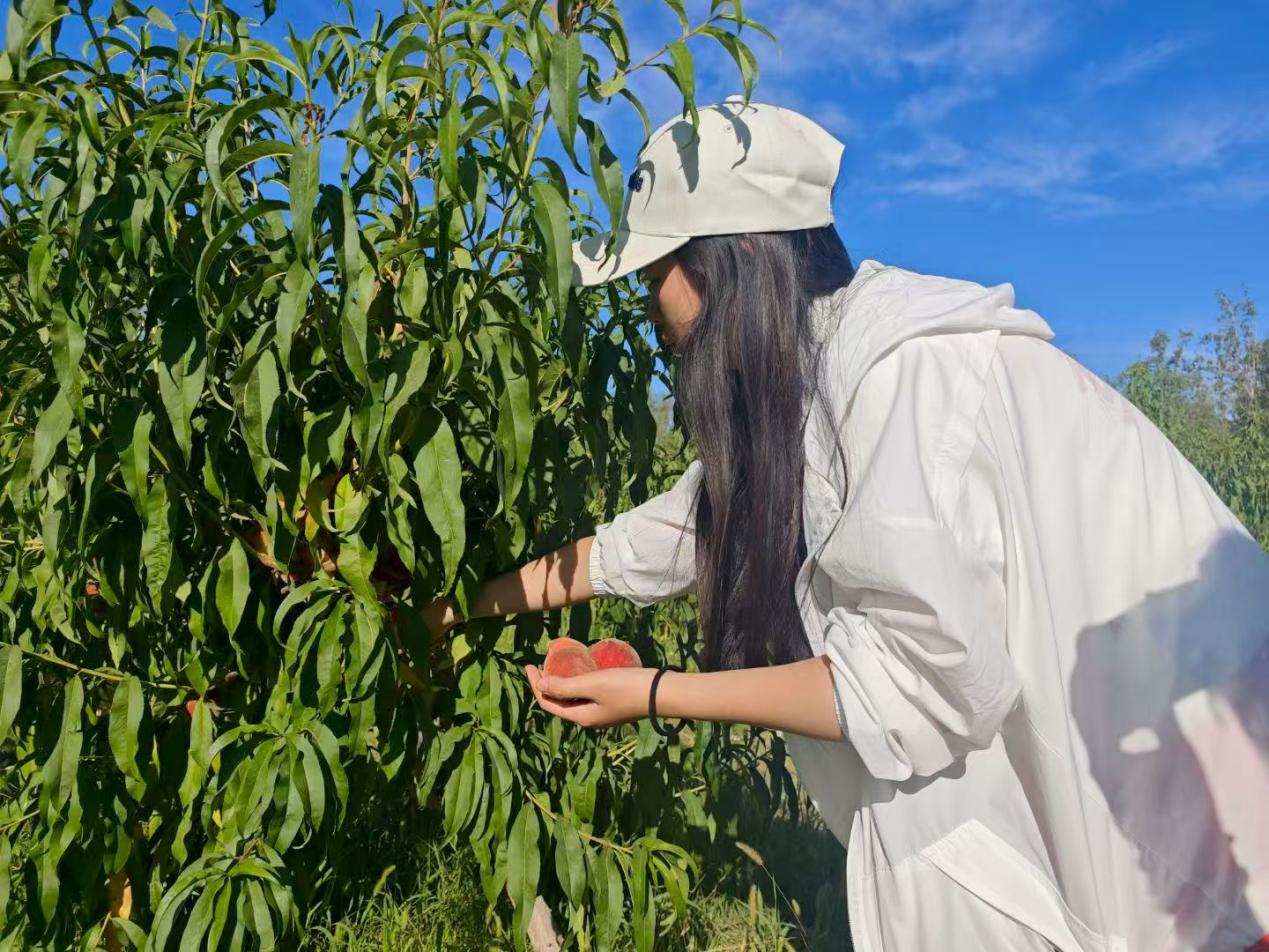 ഺM(jn)@W(xu)˼`r(nng)d⌍(sh)`F(tun)