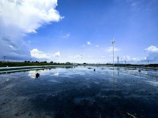 B(ti)B(yng)ֳxܣaϴзa(chn)I(y)ƪ