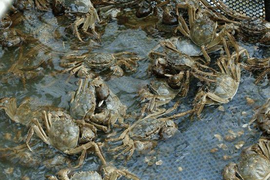 (jng)W(xu)Ժ зˮ`F{(dio)FꖡֵءrзB(yng)ֳ