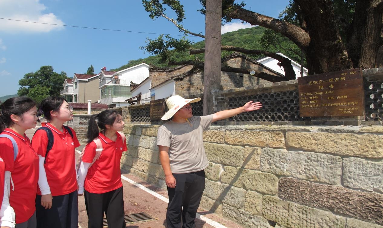 Ř䱣o+շvWGɫl彨Oע뷨